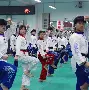 跆拳道夜战：海滨银狐队翻盘南城猎隼队，临门一脚致胜技战术储备厚实的简单介绍
